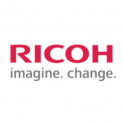 Lewis Color invests in Ricoh USA large-format equipment.