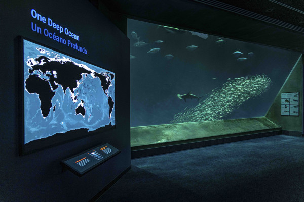 The first glimpse of deeper travels as guests wind through the Into the Deep exhibit.