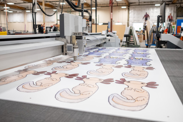 Infinity Images printing materials for Dinolandia.