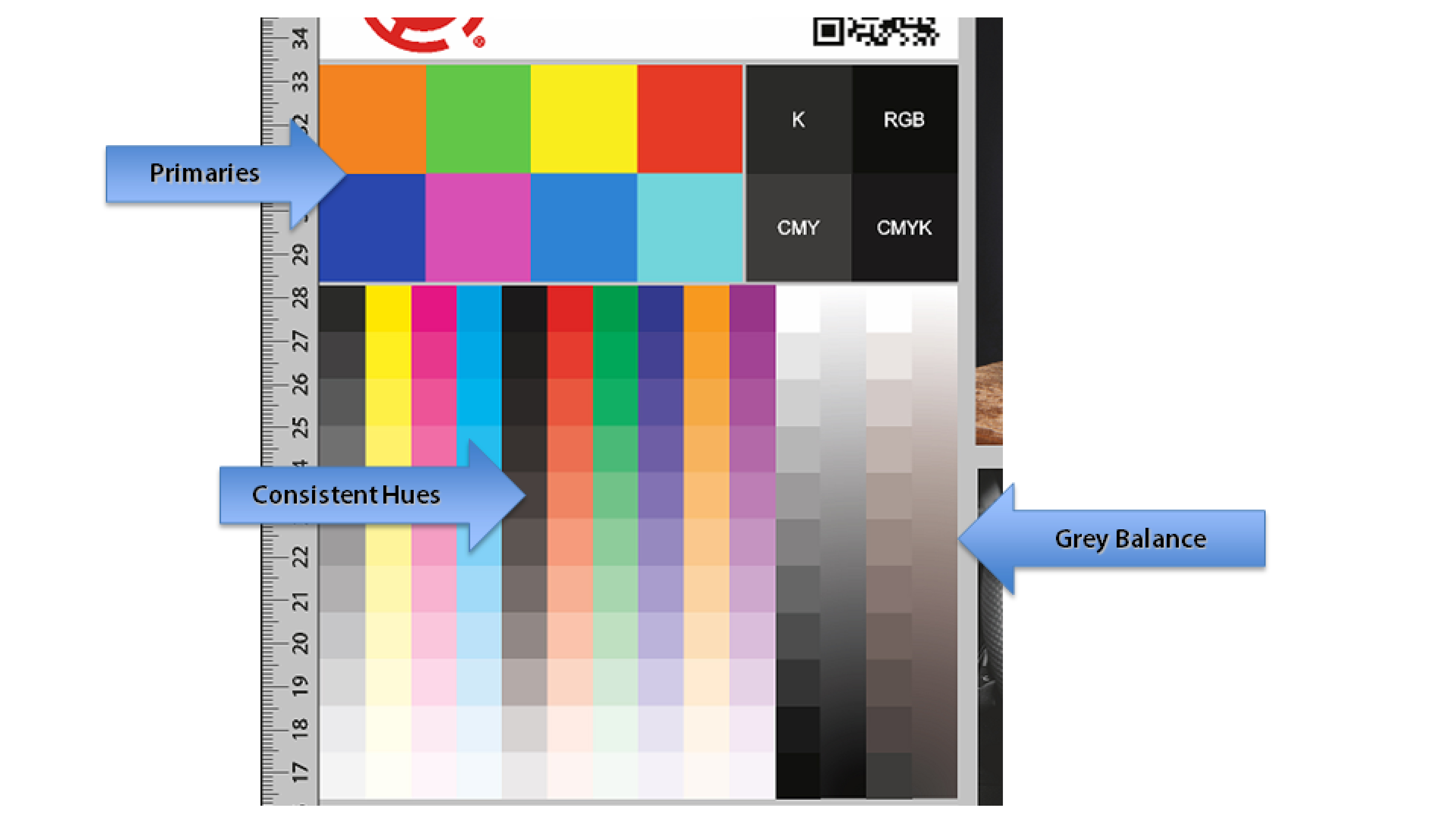 SAi Flexi - Color Management - What to look for in sample file.