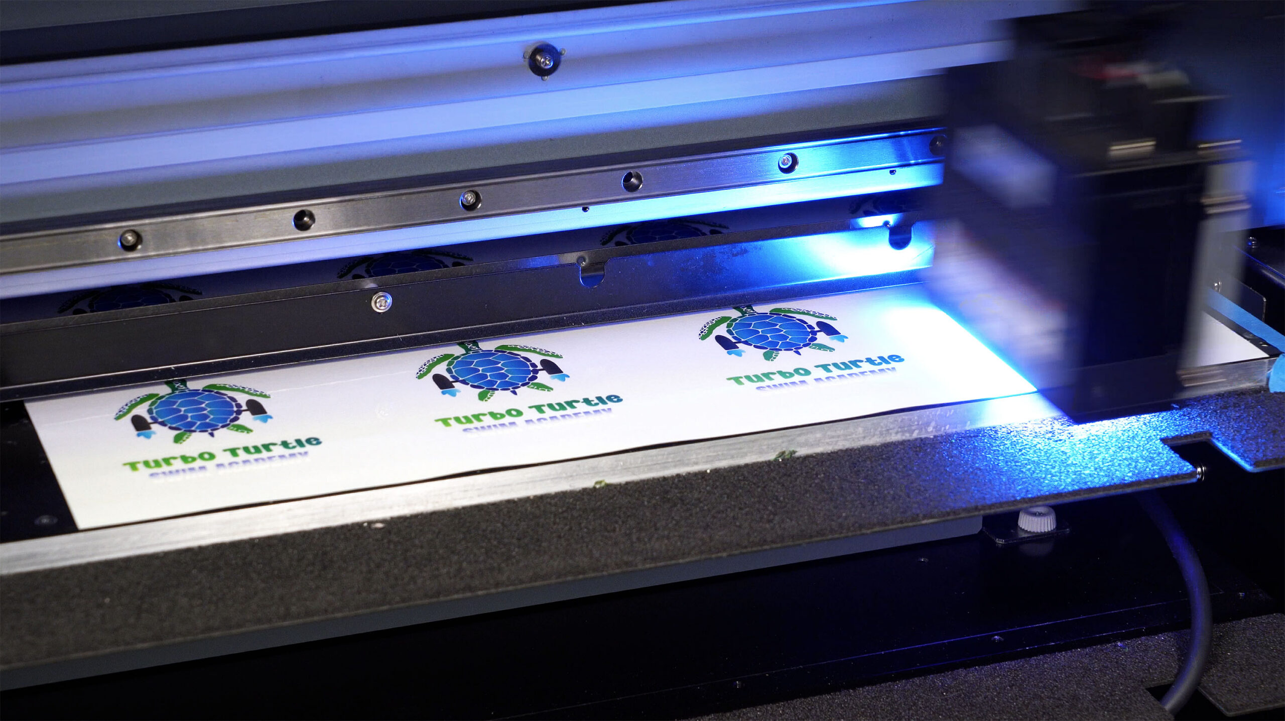 Roland DGA print sheets